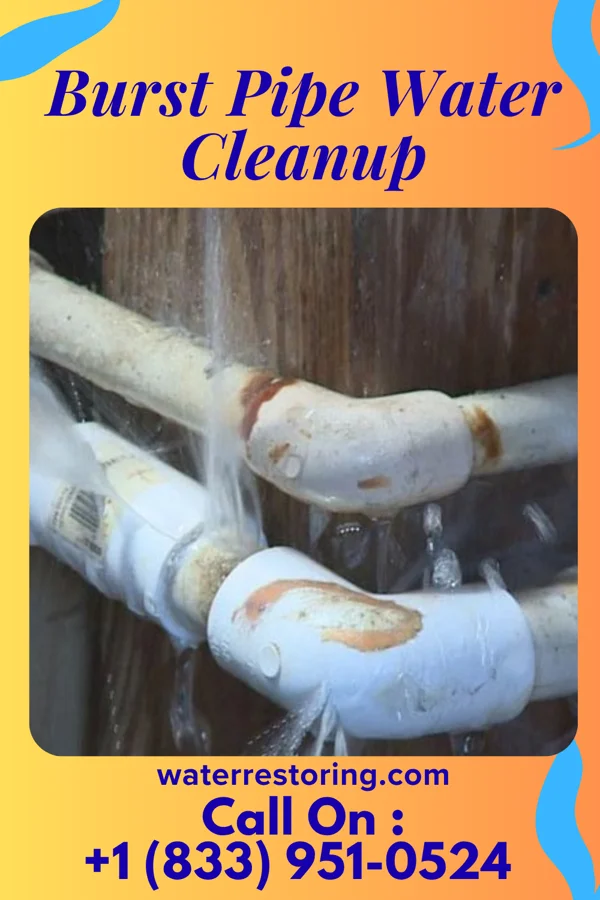 Burst Pipe Water Cleanup in Muskego, WI