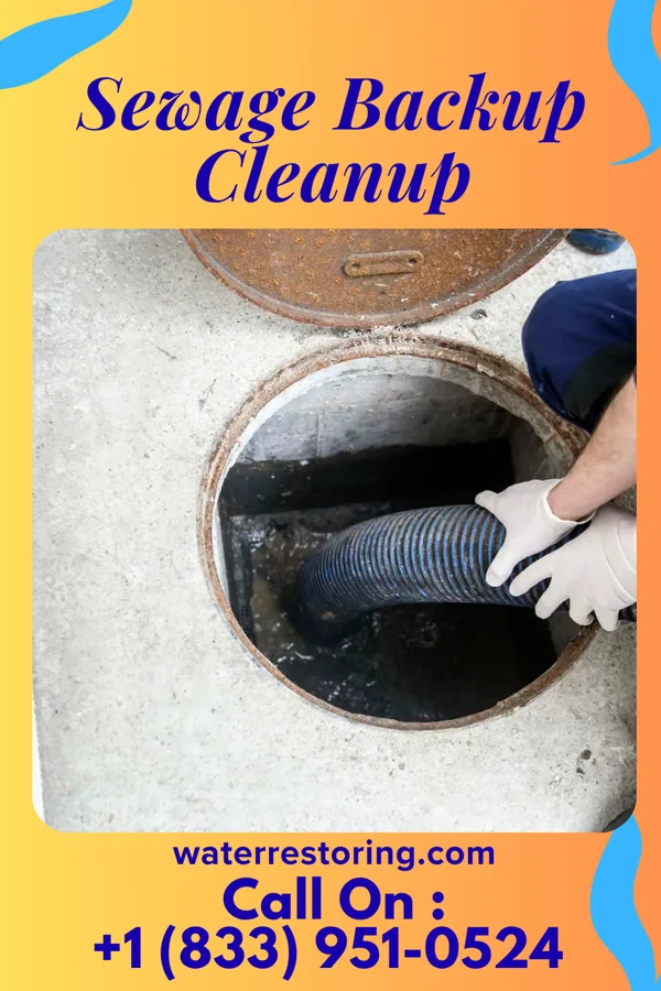 Sewage Backup Cleanup in Muskego, WI